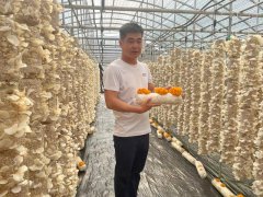 ���硰��ũ�ˡ����ഺ��������