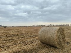 �������죺��ʩ�л���Ϊ�����ء����͡�