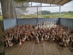 �Ƽ����� �����������Ѽ��������̬����ϲ�����